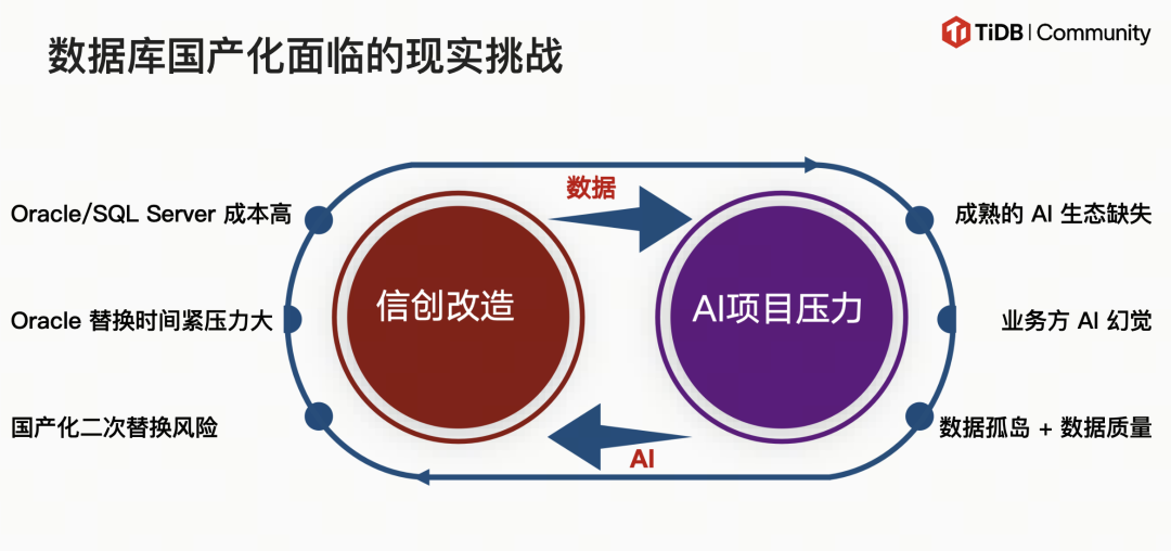 数据库国产化面临的现实挑战