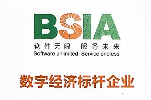 蝉联北京标杆｜平凯星辰入选2024北京市数字经济标杆企业